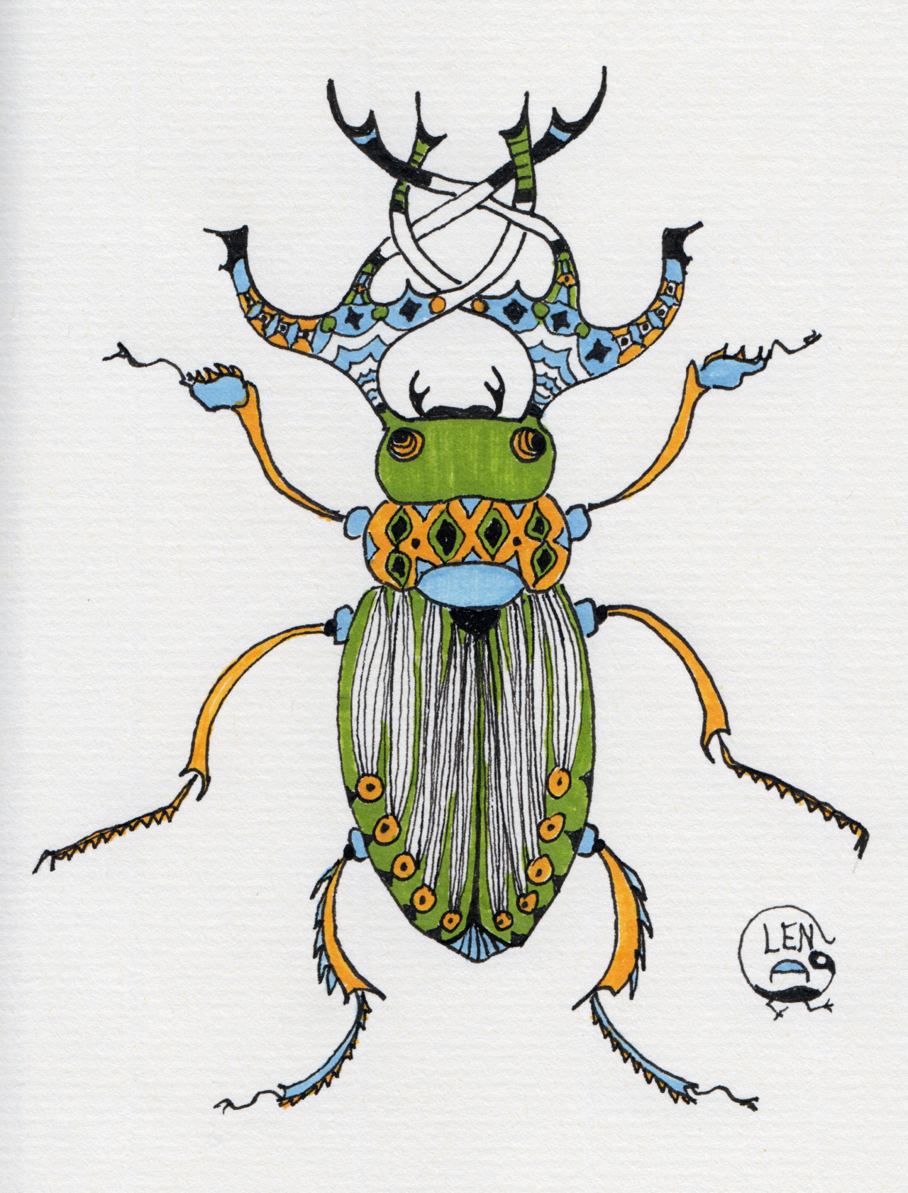 Celtic with a Twist – Beetle